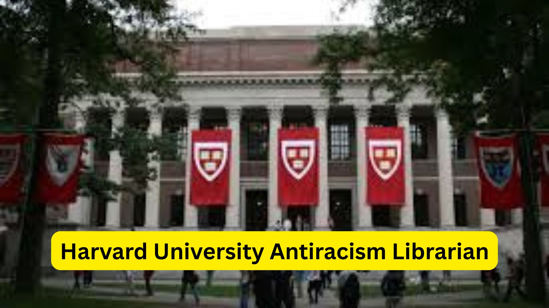 Harvard University Antiracism Librarian: Role, Impact, and Vision for Inclusive Academia