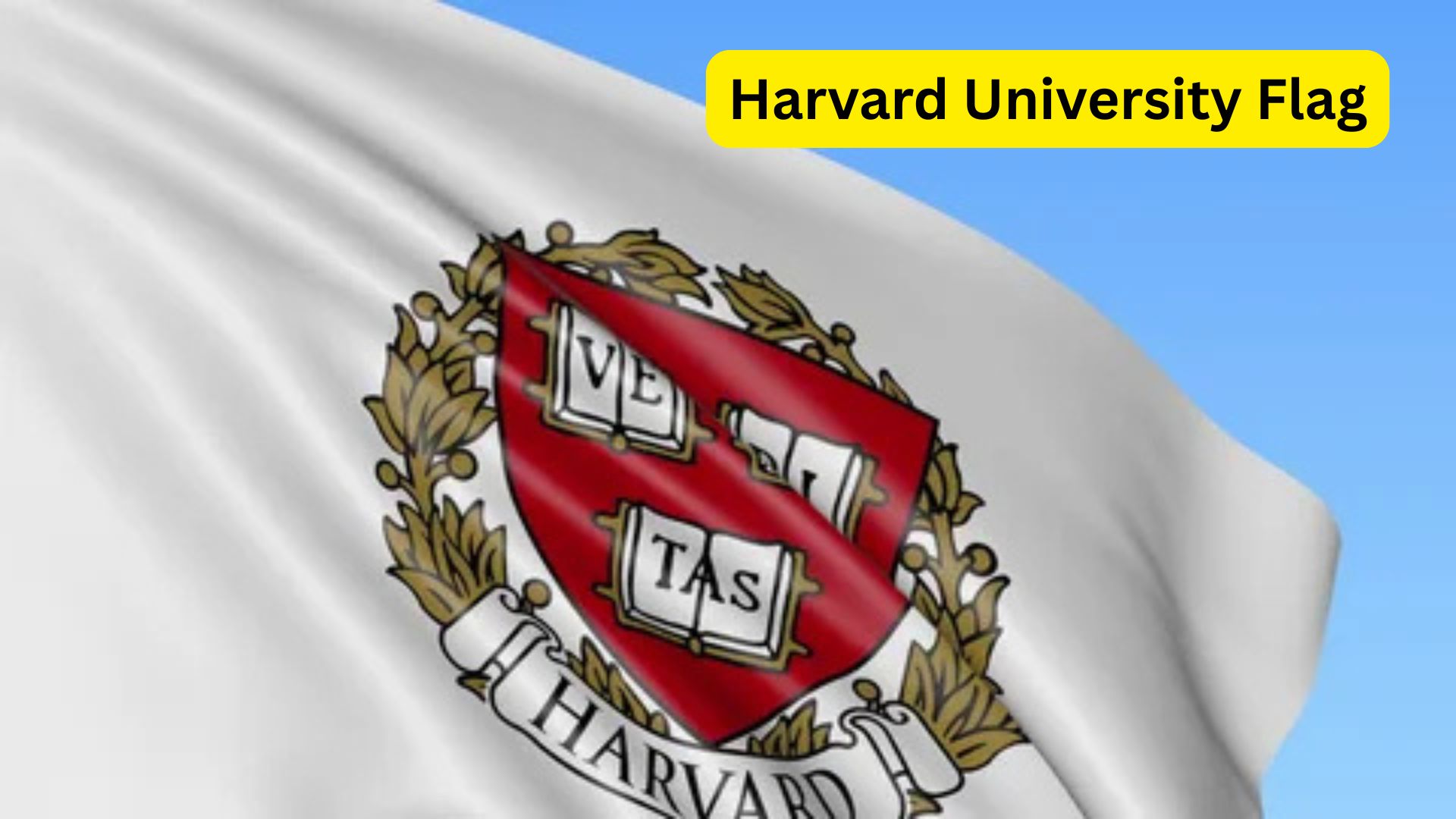 Harvard University Flag 2025: History, Meaning, Symbolism, and Usage