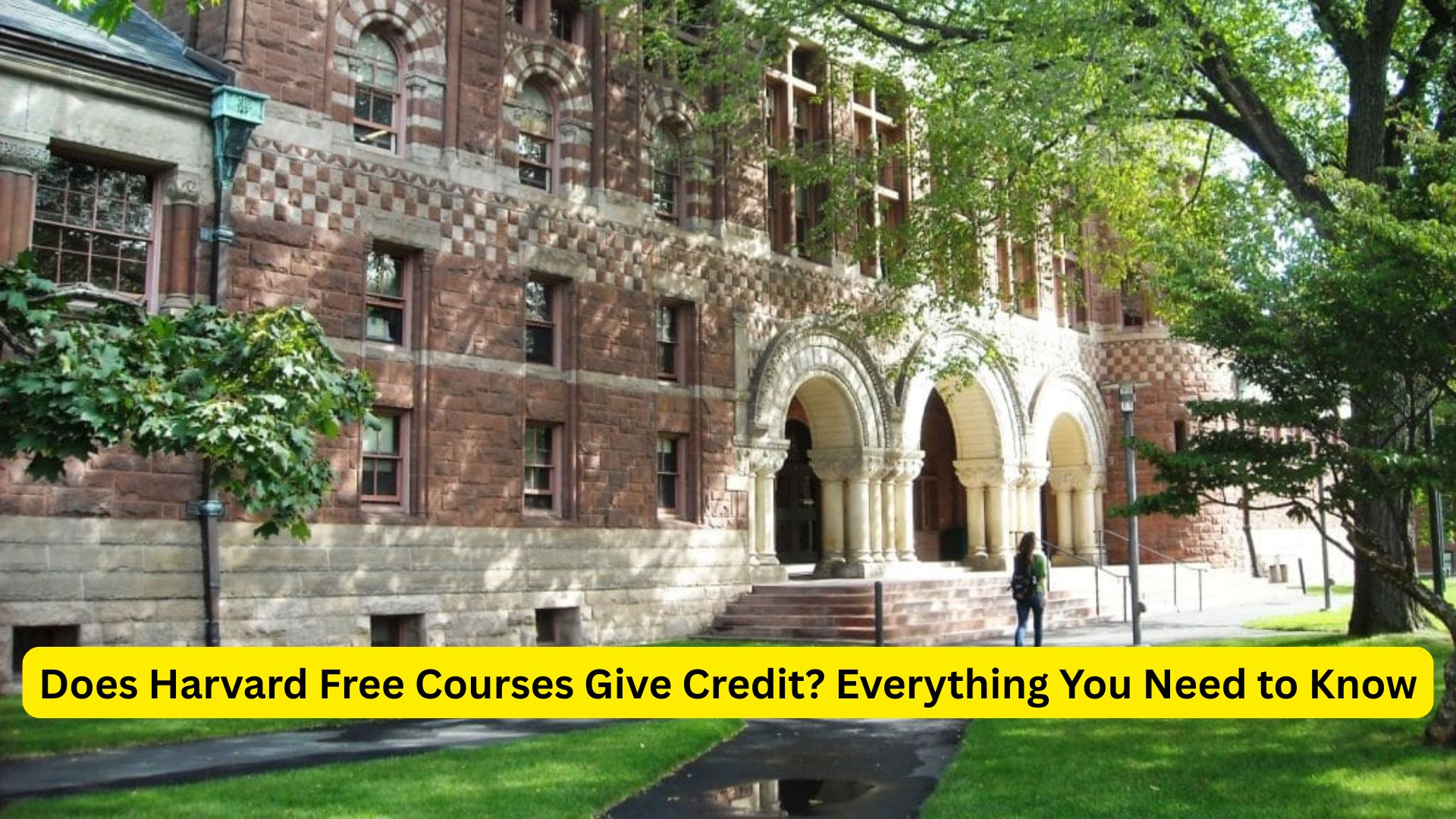 Does Harvard Free Courses Give Credit? Everything You Need to Know