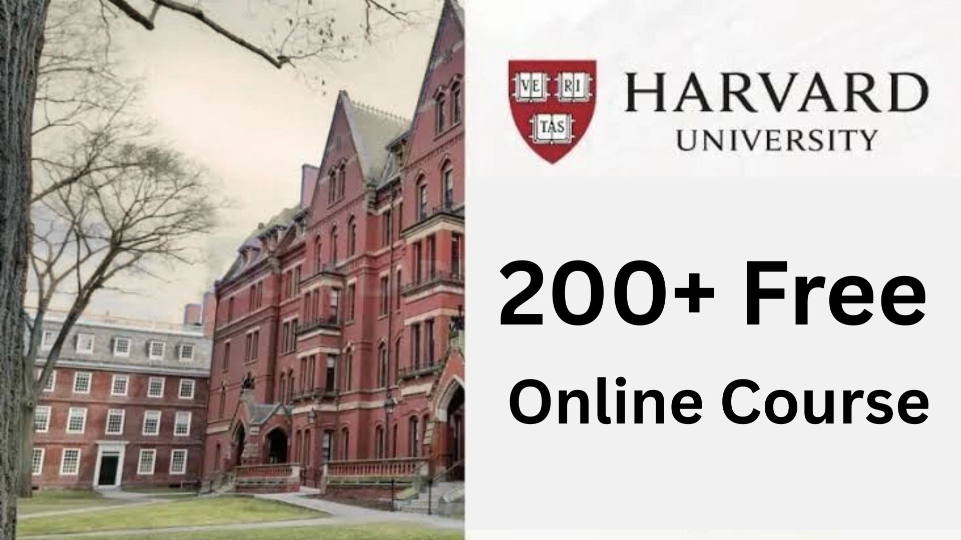 Does Harvard Offer Free Online Courses? Complete Guide to Learning from Harvard for Free (2025 Edition)
