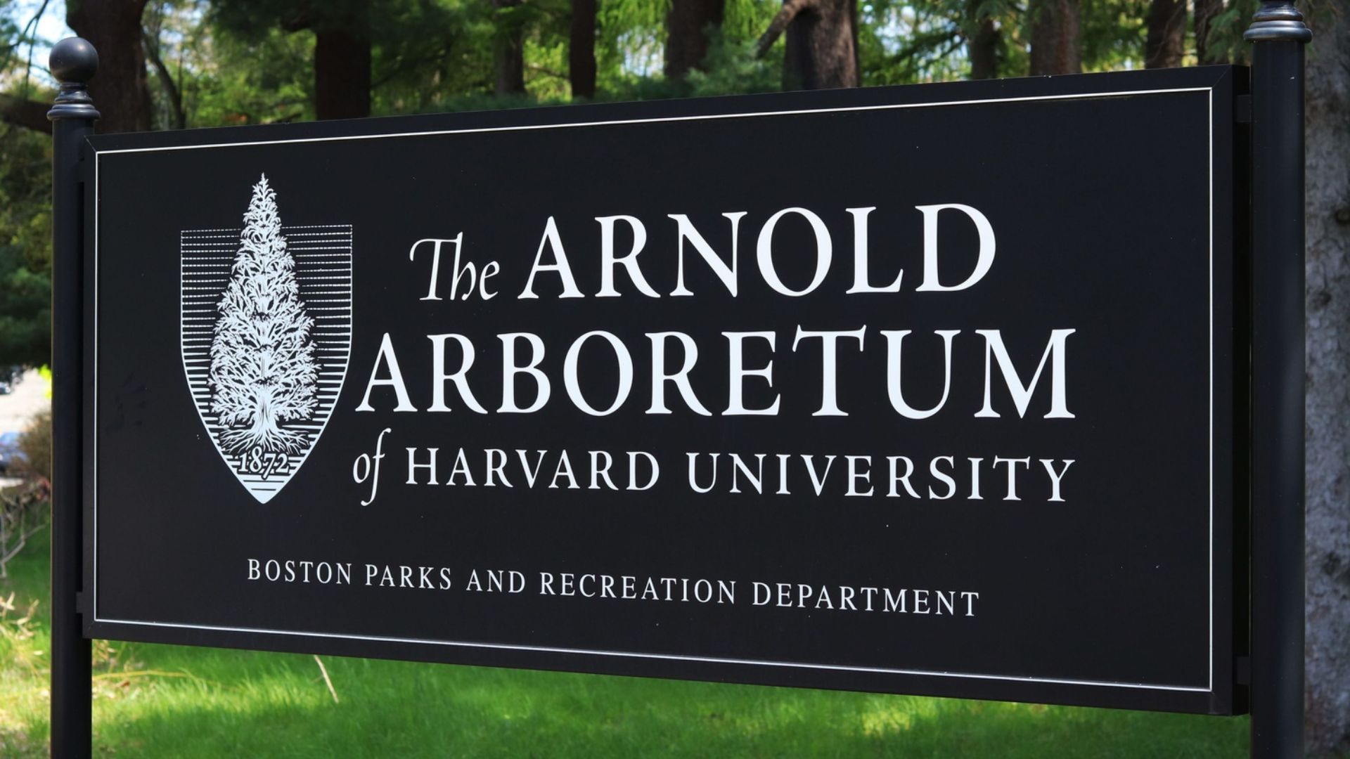 Harvard Arboretum 2025: A Living Museum of Nature, Science, and Education