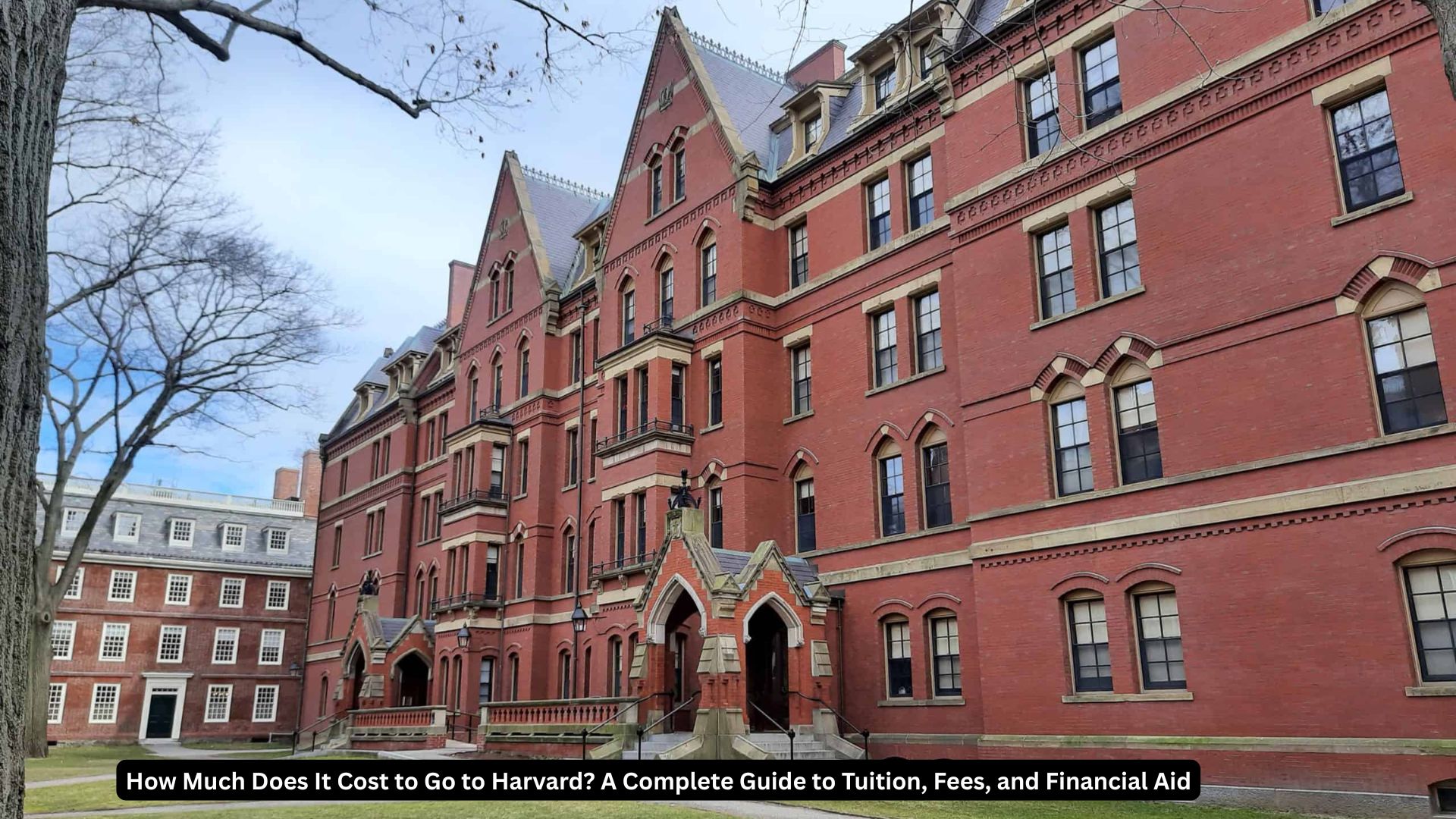 How Much Does It Cost to Go to Harvard? A Complete Guide to Tuition, Fees, and Financial Aid