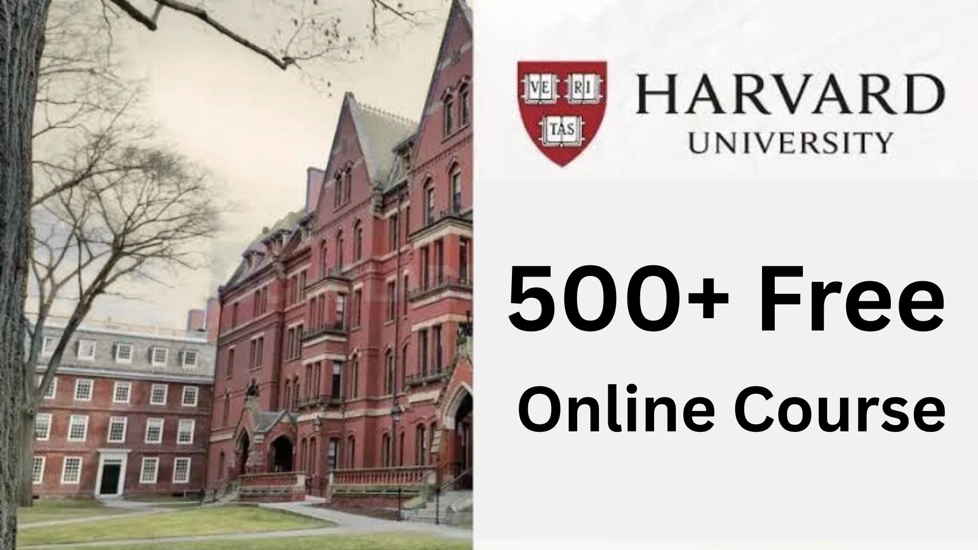 How to Take Free Harvard Online Courses​?