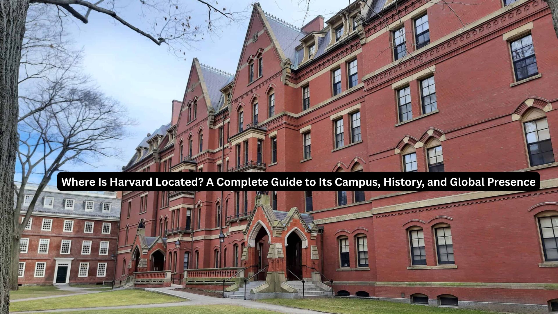 Where Is Harvard Located​? A Complete Guide to Its Campus, History, and Global Presence