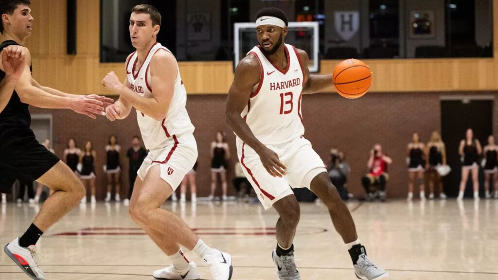 Harvard Basketball Director​ Guide: Recruitment, Coaching, and More