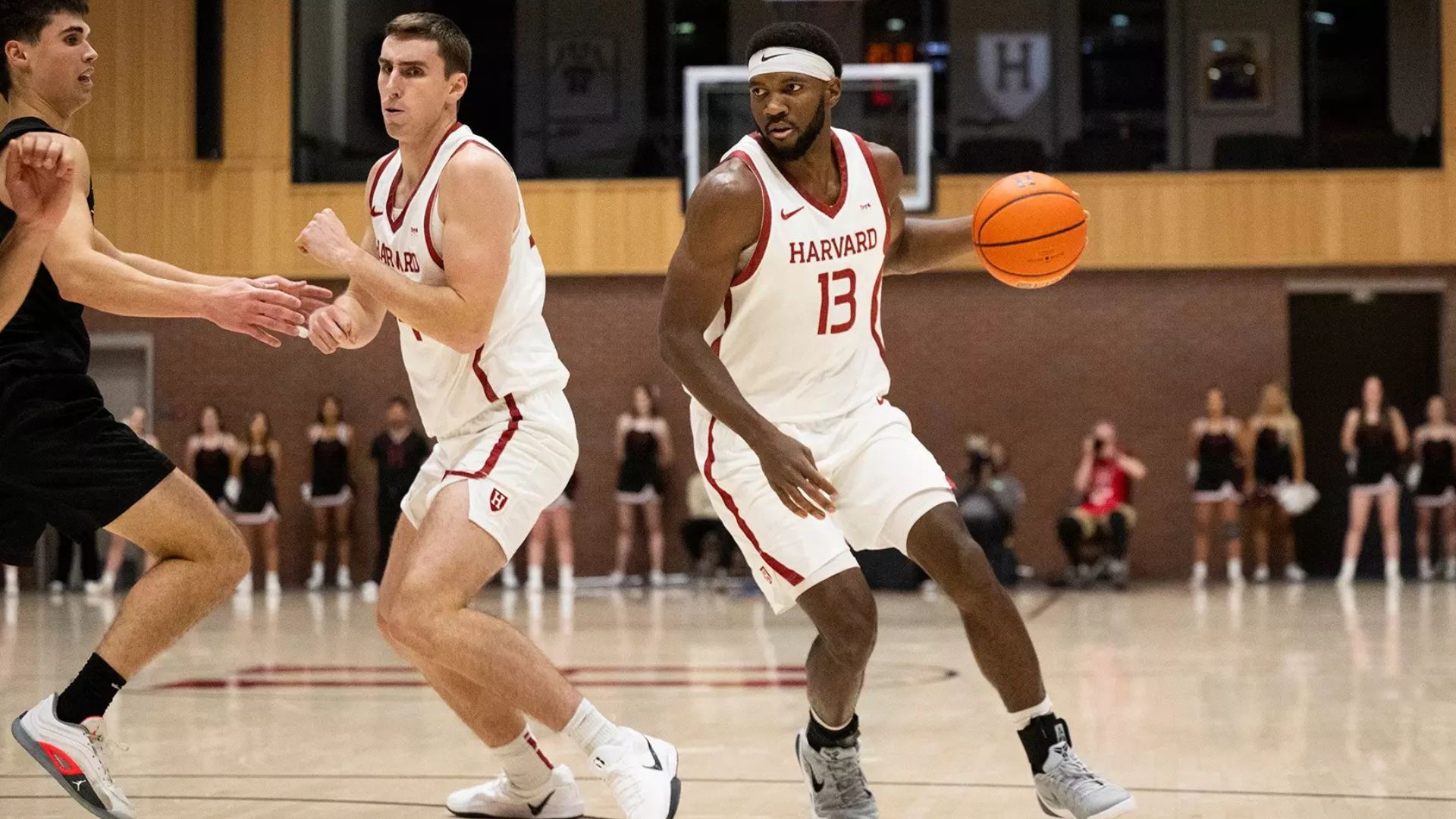 Harvard Basketball Director​ Guide: Recruitment, Coaching, and More