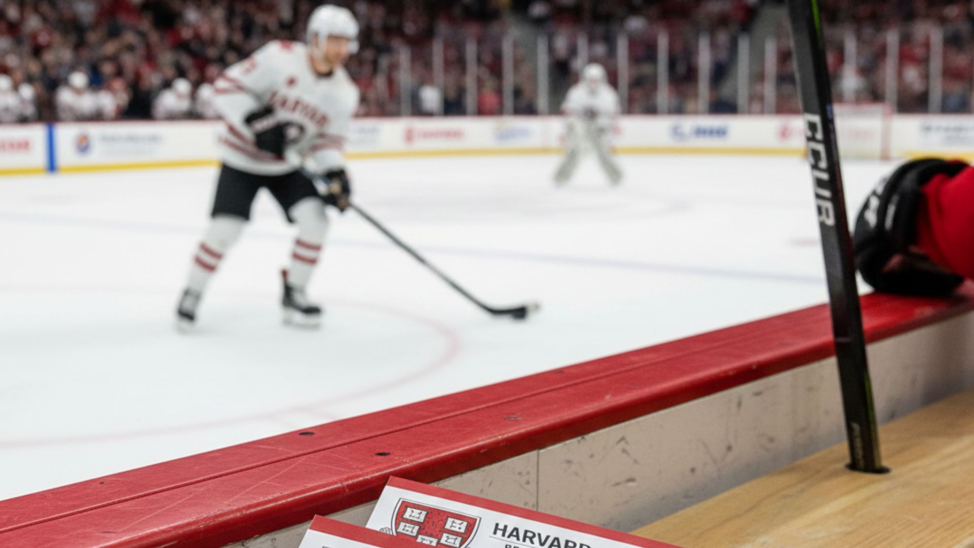 Harvard Men's Hockey Tickets​: Prices, Seating, Schedule & Full Guide