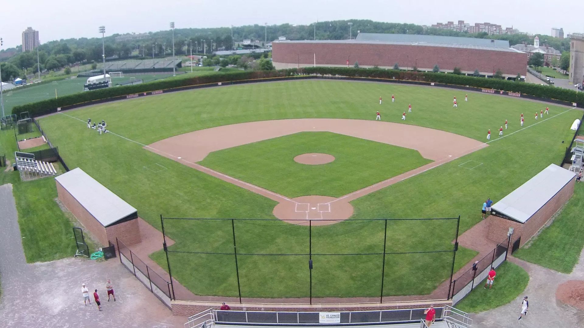 Harvard University Baseball Camp: A Complete Guide for Aspiring Players