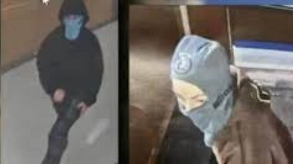 Logan David Patterson Biography, Career, and Life Story 2025