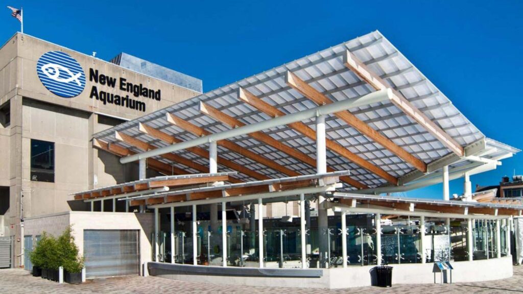 New England Aquarium | Tickets, Hours, Exhibits & Visitor Guide 2025