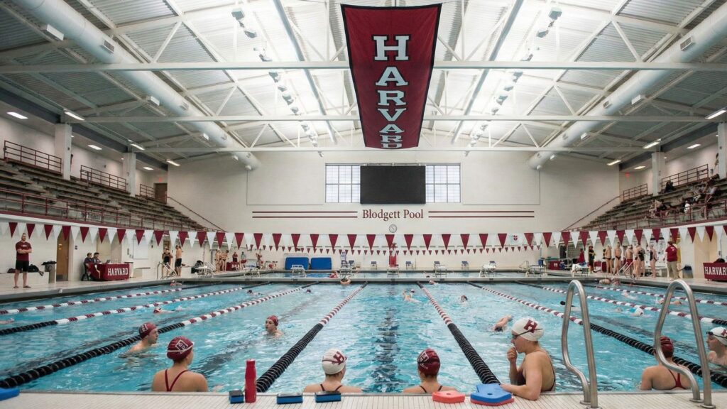 Swimming Harvard: Training, Competitions, and Student-Athlete Opportunities